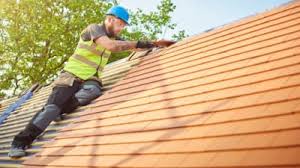 Best Asphalt Shingle Roofing  in Elon, NC