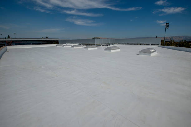Best Cold Roofs  in Elon, NC